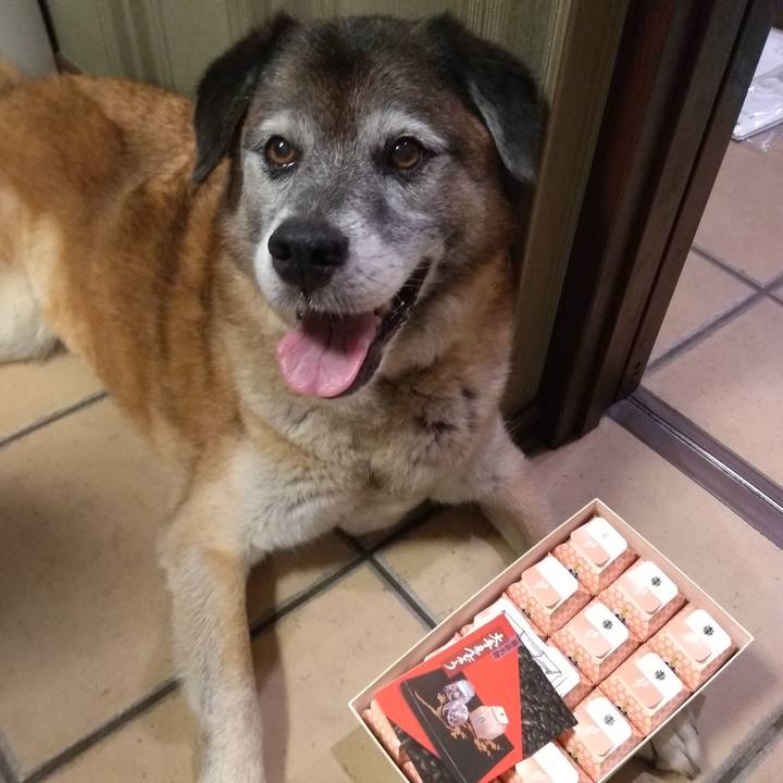 Ab062780 ee33 4ccc b90e f4497b992e52 1564483207082