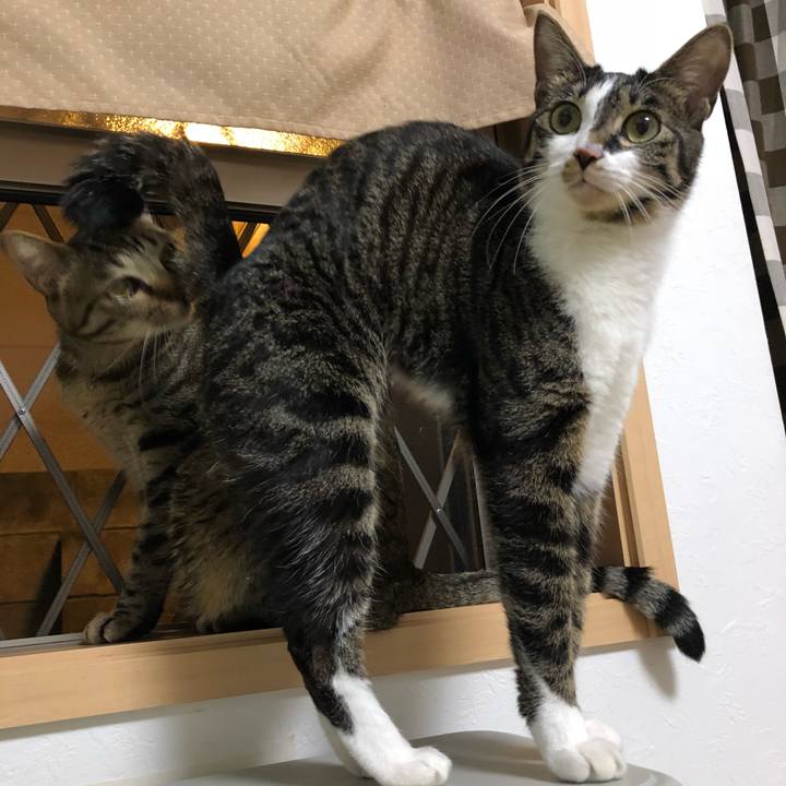 Ab0641c1 b396 4f16 9d82 8661238527fd 1522976110135