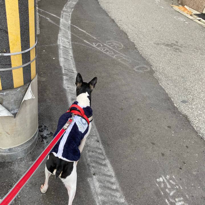 Ab0642fc 3357 4cf6 8a1c 4da8294d4d85 1583053606796