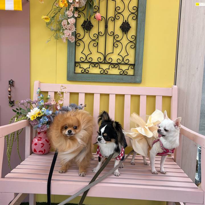 Ab064aac 7ef5 4255 ad87 1c8a4338412a 1773485428883