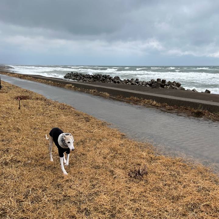 Ab066a42 87ac 42c4 840f 337ba5e2b500 1765441373292