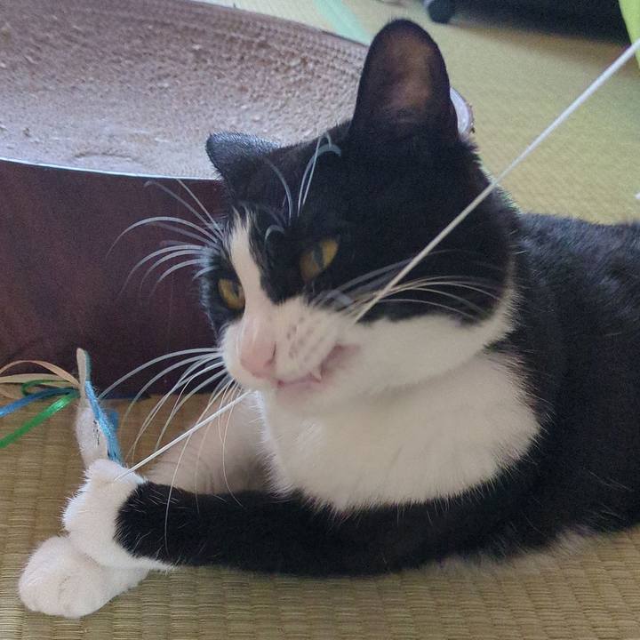 Ab067047 0def 4817 b0d3 d92dba55c255 1692000119101