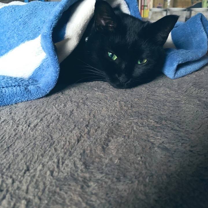 Ab067d48 e59a 4c04 954b 70b20eca576b 1576923212103