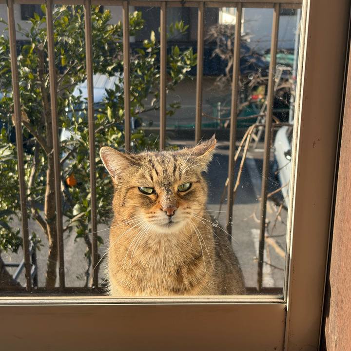 Ab0698da b80f 4596 a141 012c08bc14cd 1771033471615