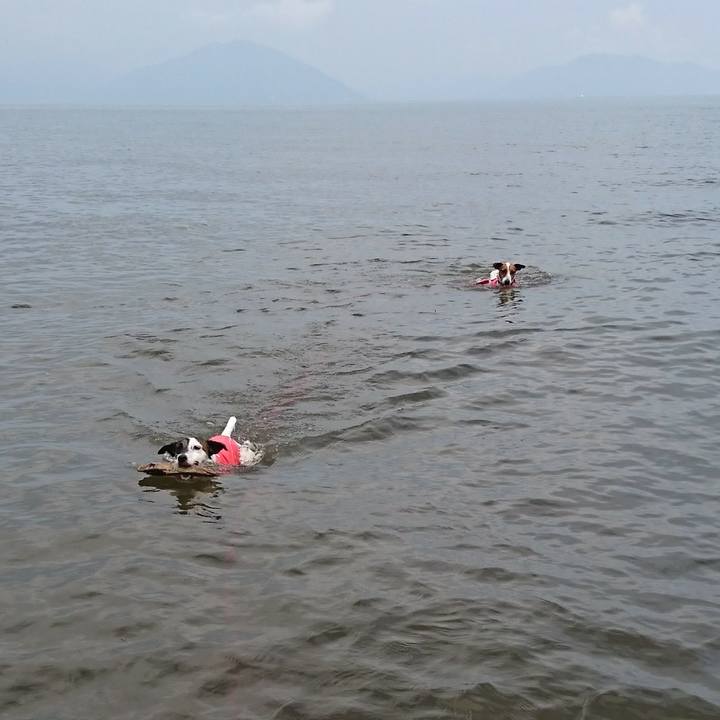 Ab06a20d 41fd 494c a8b8 6702fcd16352 1567315309308