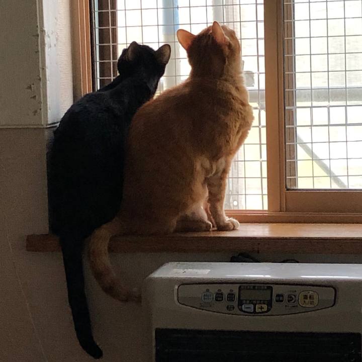 Ab06ce4d 4bfb 4e7b 9f7e 848fae4ad813 1663401618725