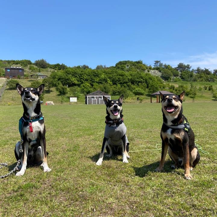 Ab06d134 677d 4756 8917 5b73ca74289f 1653226480309