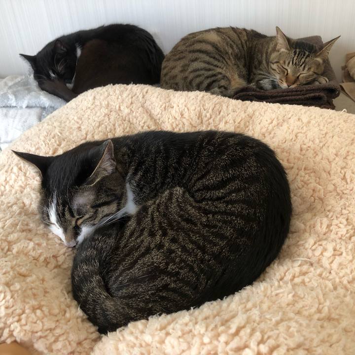 Ab06d459 3281 4fc7 b54c f1fe1e264ca7 1651891144450