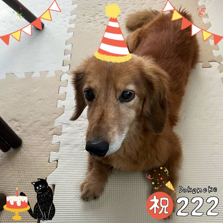 Ab06f5db 7876 4aaf 8846 8bc2a1d17bf0 1645510774647