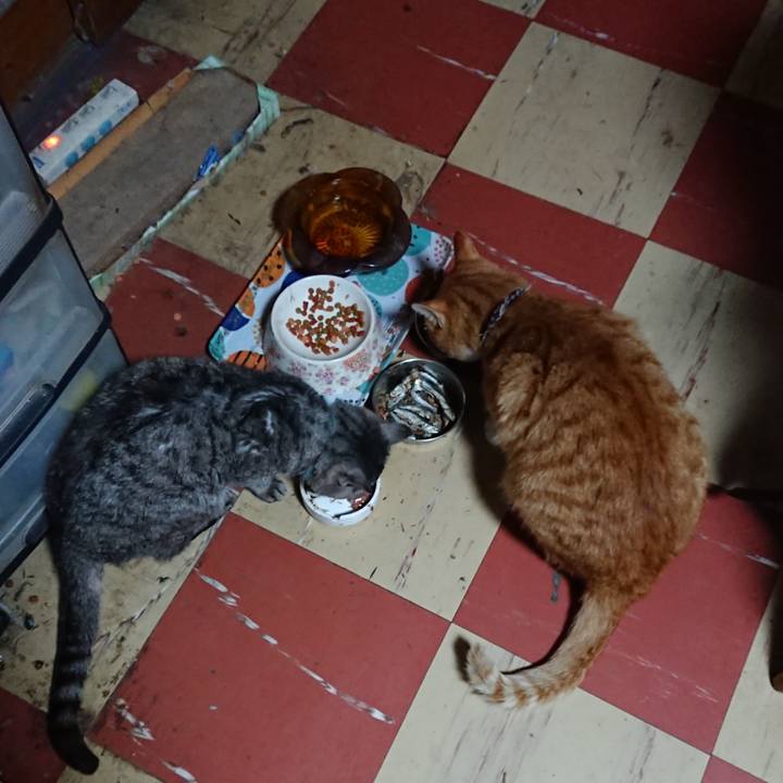 Ab0703a1 93f3 41f1 b058 d3d360d283bd 1573715768613