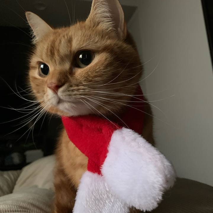 Ab072432 bf60 4564 92a4 bee040517efe 1640384111361