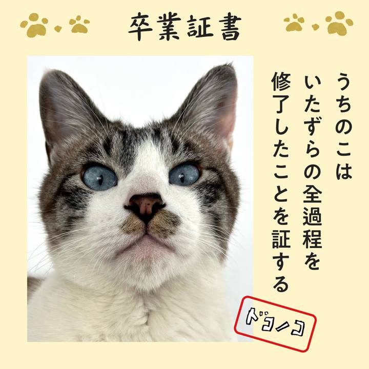 Ab0737ac d1c7 4d83 bc6c 9b27b4d373a0 1771847515467