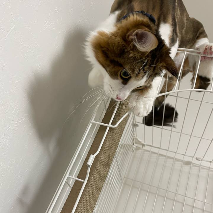 Ab076a11 36eb 4fab 94c0 1029b33015f9 1659730473369