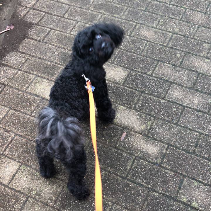 Ab076ff7 168c 4bc3 ac48 9046c8d80467 1537052456860