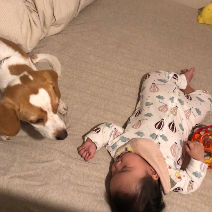 Ab079d65 8445 4bb5 a5c5 9970dc071558 1612775796806