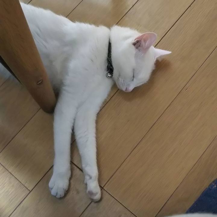 Ab07b40b f1e2 4cae aa44 0f9c63149a99 1649976509985