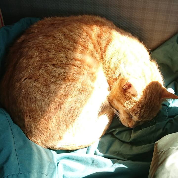 Ab080490 b62b 4dfc 95d7 847b54cfa6b7 1583557344778