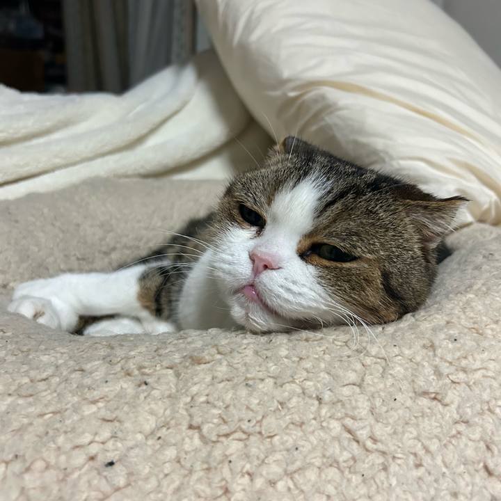 Ab080e98 286c 4e08 8e39 2f561ccd8564 1766273828912