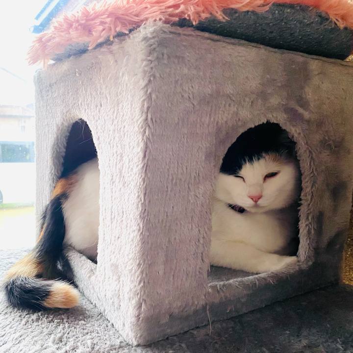 Ab082f28 ec8c 42e8 a889 d80500c45308 1650964317542