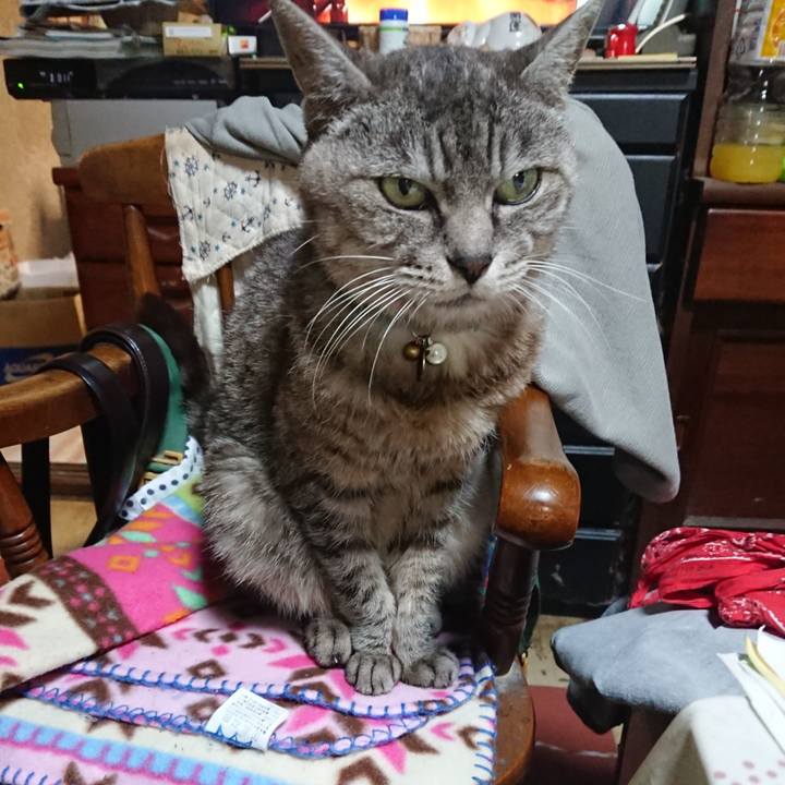 Ab0869b9 ba9a 431d 9f59 552684ff22ba 1570013498414