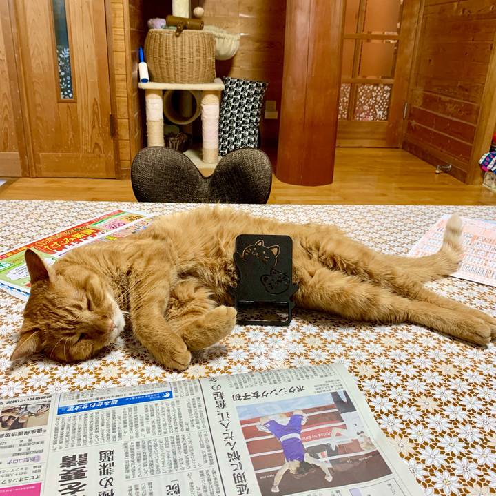 Ab086f65 8f95 4629 bb73 c6bc315c0707 1628034512118