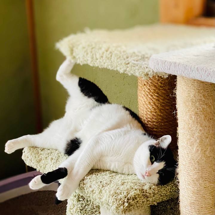 Ab087922 fb92 4bed bf3d b1e0adc760fe 1607050889296