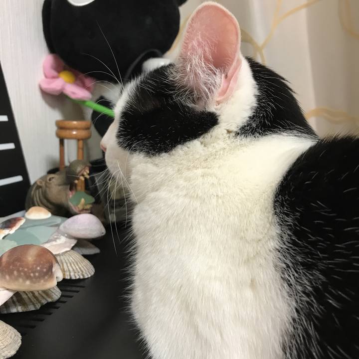 Ab088b07 1b5f 427b bae5 c60b35bf92d8 1517552394847