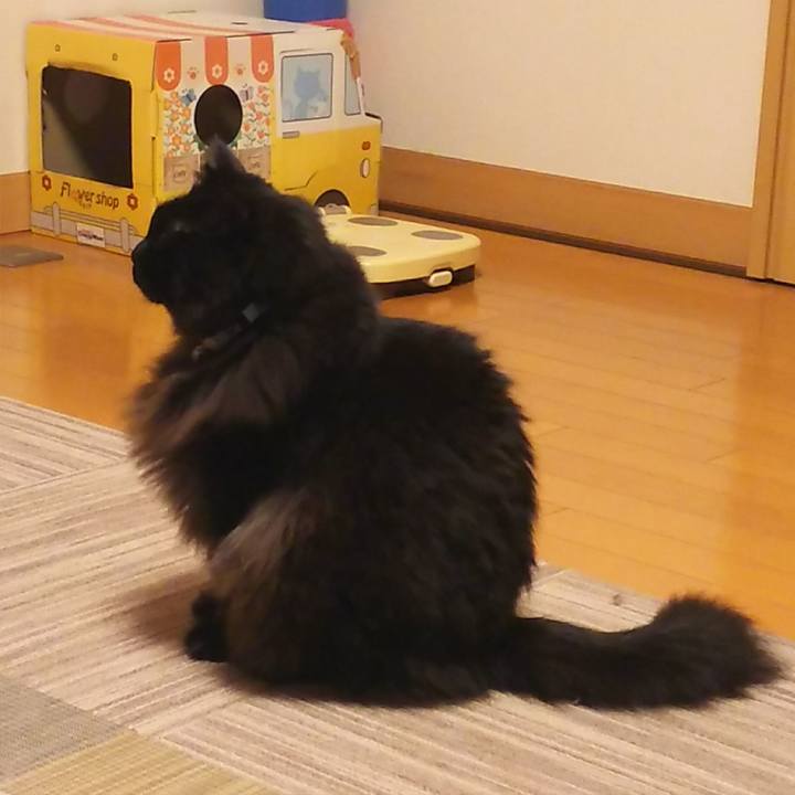 Ab0893d4 32f8 4642 ba62 e4375efb01d5 1542023152733