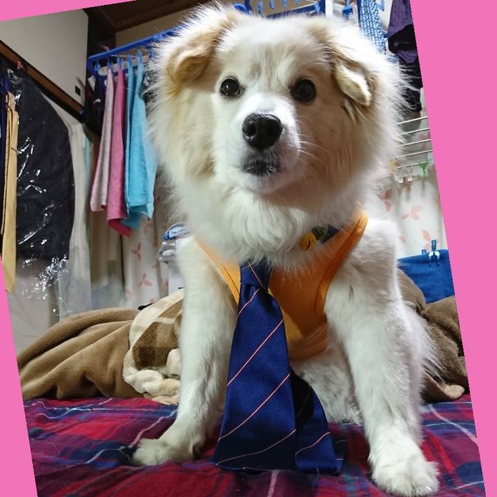 Ab08aaf1 344f 4546 ab2c 58e5d44bd97e 1528979039292