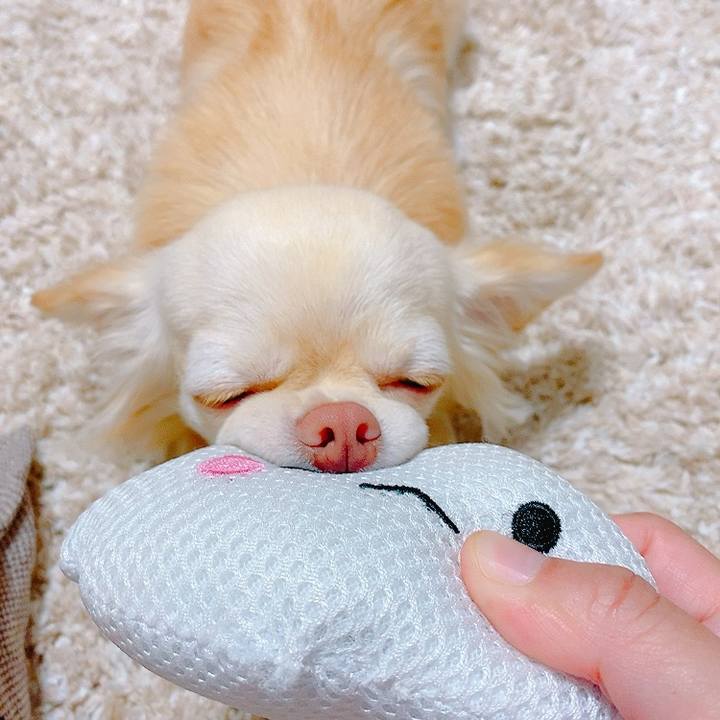 Ab08acdc 75ad 4b87 984d 98448135ba92 1622711343790