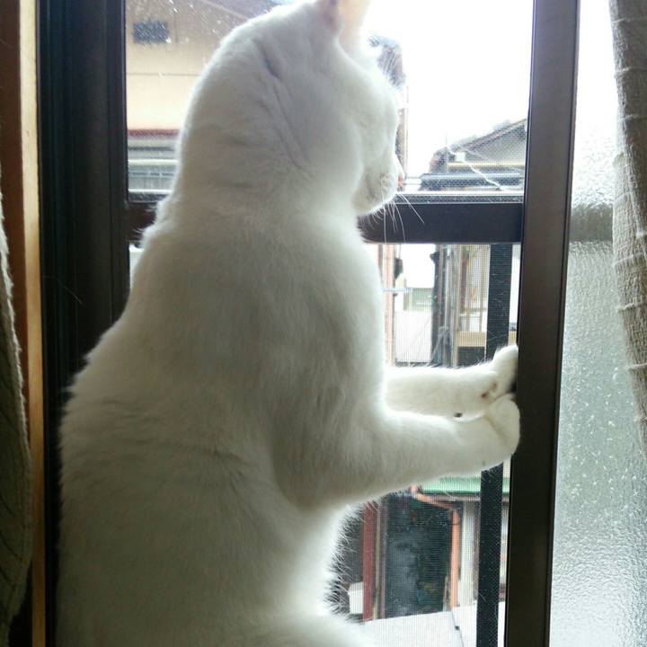 Ab08fa04 afe8 4151 a52e fdf67b1d6fa4 1511589283662