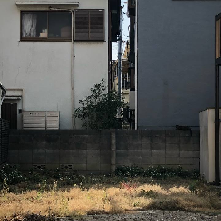 Ab094620 2da8 442f ac17 0e6f58f308e6 1560603441091