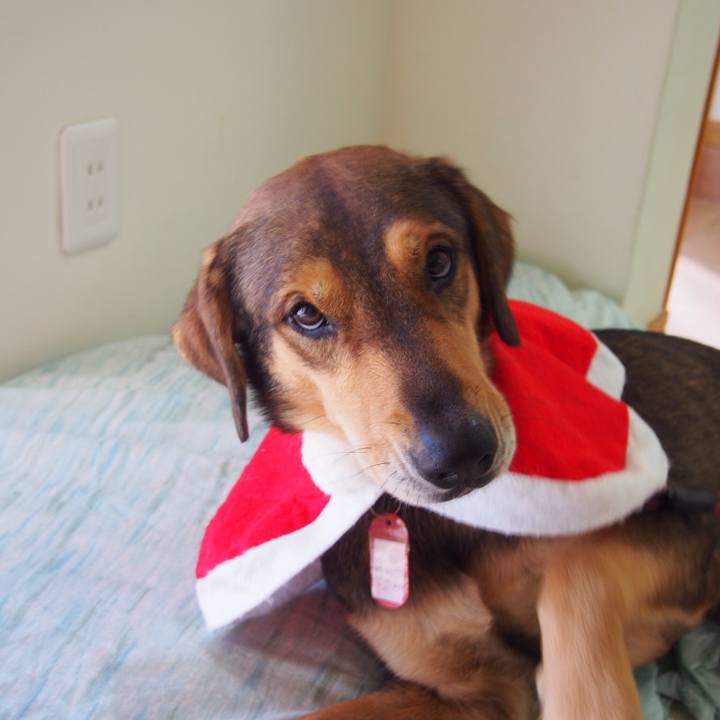 Ab0979f5 40d3 4a2d ae9b cbe6fe67fa4b 1514080748099