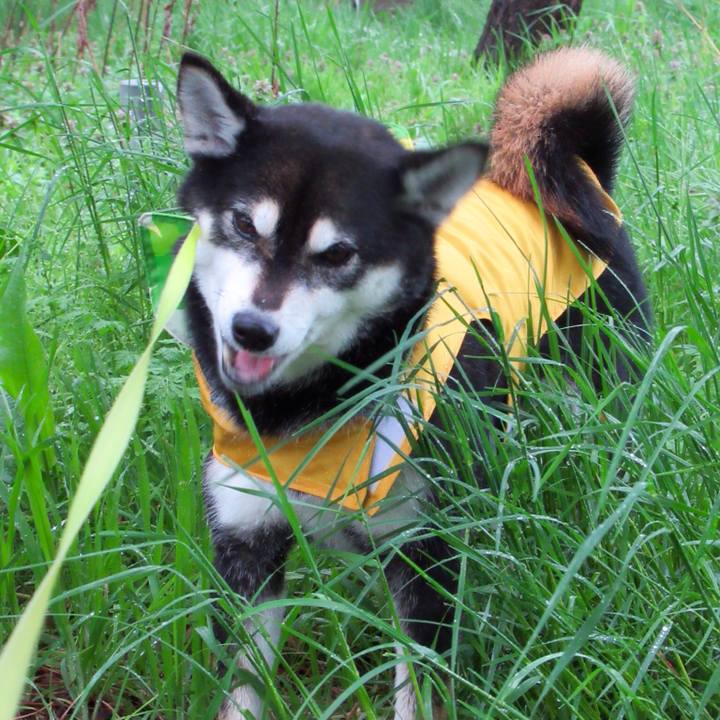 Ab09ab67 4837 40fd b53a 29f35053b62b 1556189090142