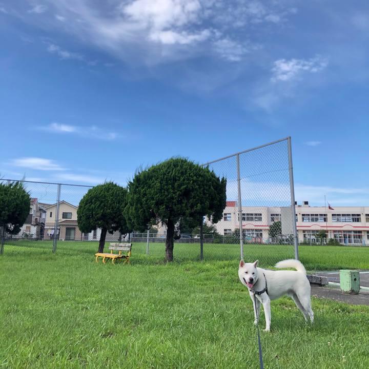 Ab09cf9f 21bf 4219 ba4a 7b4ea1e8dd3e 1596190660678