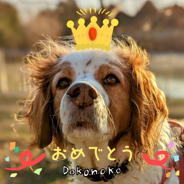 Ab09f1ac 1461 4f6e a14b 60e03ab2db0e 1685969067365