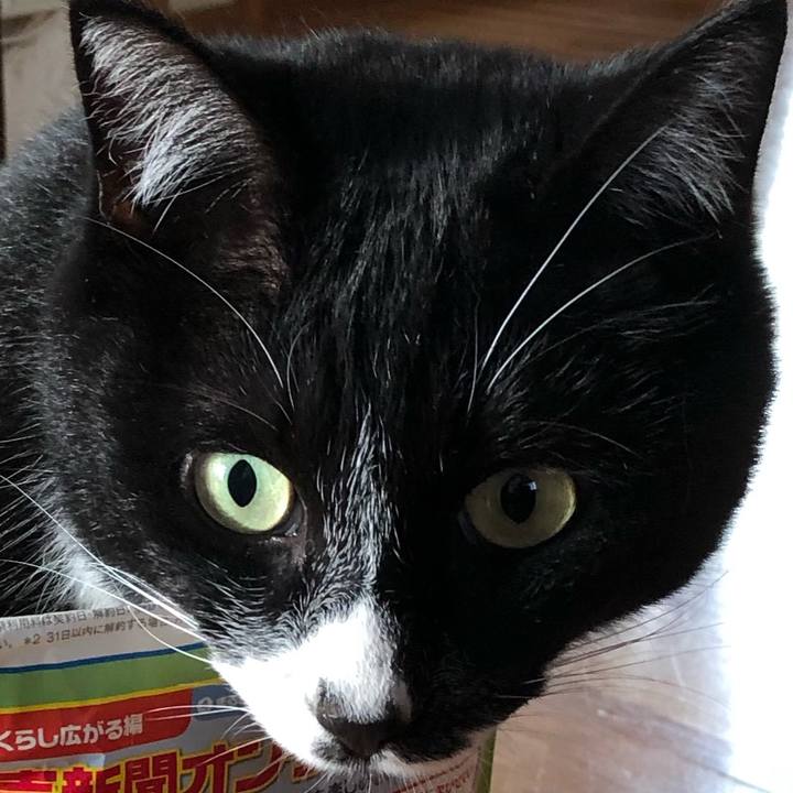 Ab0a2782 d741 4c15 9f51 0f3d40ad885b 1618025293743