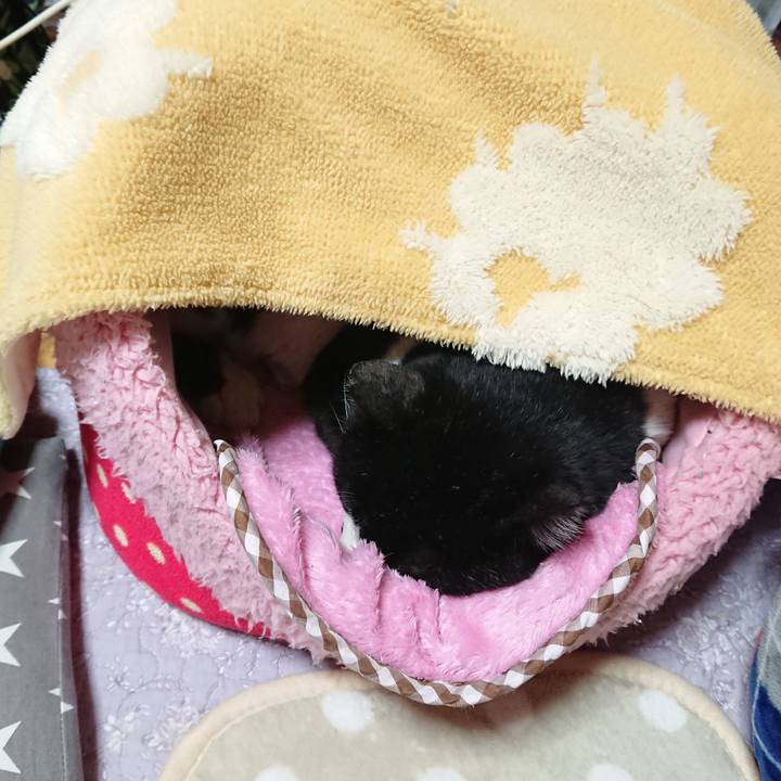 Ab0a288b 09f8 4057 8fcc facca341fed6 1557286777244