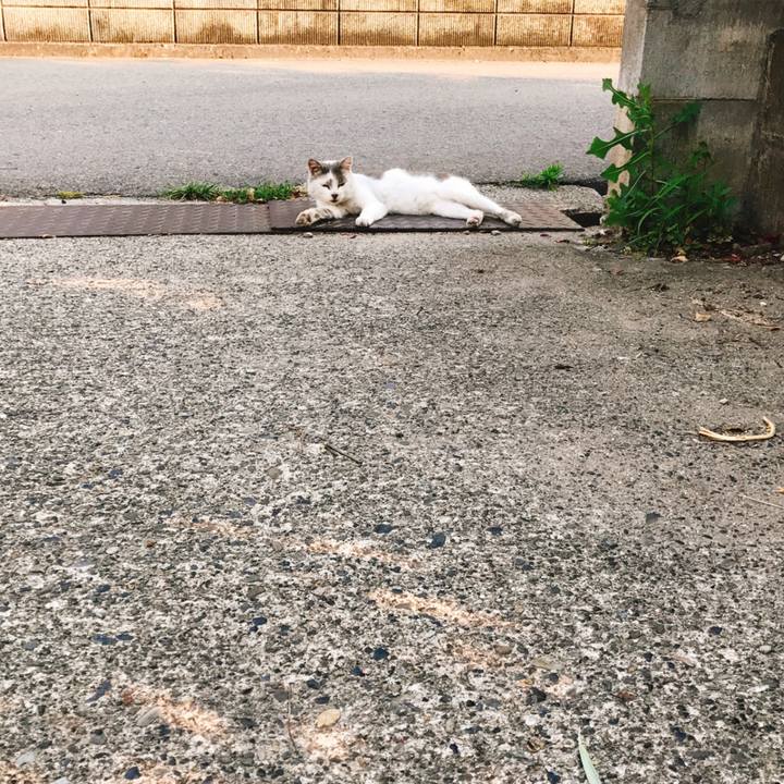 Ab0a2af2 ba22 43d9 a9e0 b0adcbd3140a 1530748376140