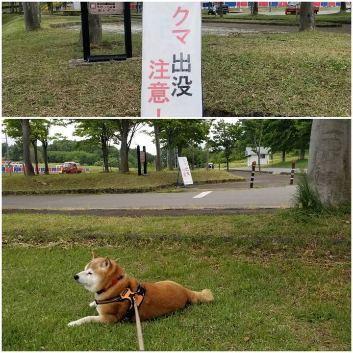 Ab0a2be7 44dc 4dce b7f3 451dd4dc9065 1715841513479