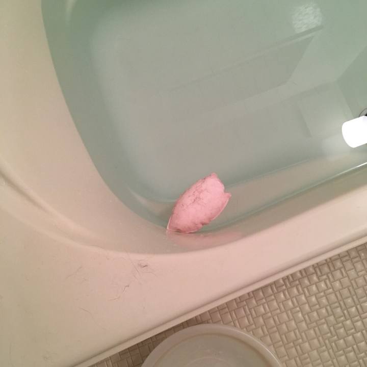 Ab0a6135 faec 4aea 92f9 564c1b4f6dad 1529585423061