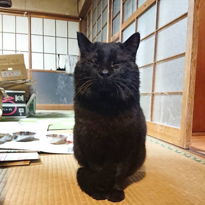 Ab0a67ef 5aa5 46e2 90a3 b75d7dcfa6c5 1616585859113