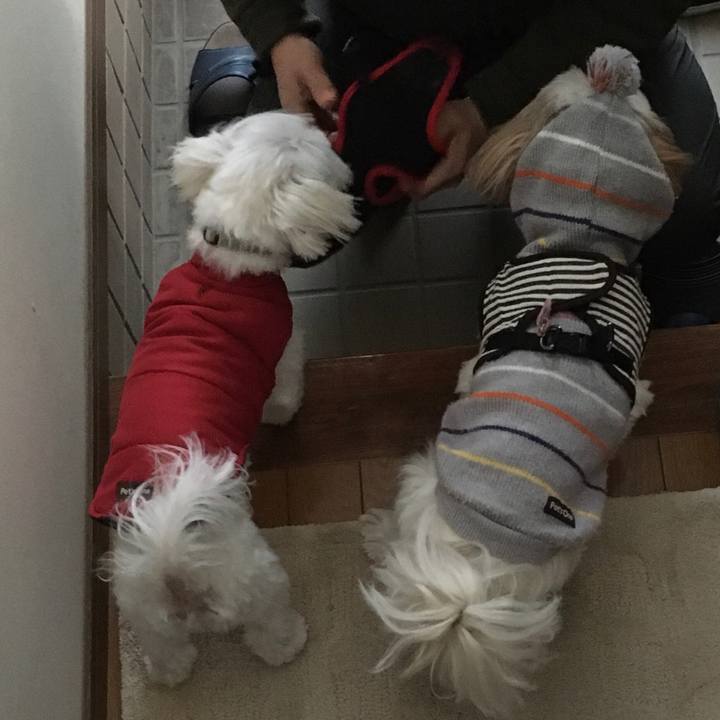 Ab0a7d66 bc87 456e 9311 bed59c5387af 1579400591337