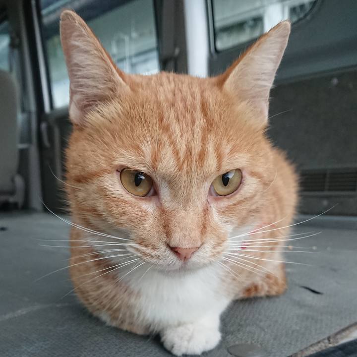 Ab0a8dba 8601 45e3 8d62 dab8efc0bbde 1568755539063