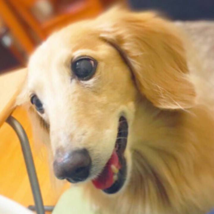 Ab0ab9c1 d4a8 4127 9425 2775c1189e81 1545309125243