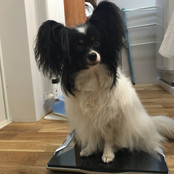 Ab0ae70e 5b05 4710 9ba8 32895a1f1aee 1525730481344