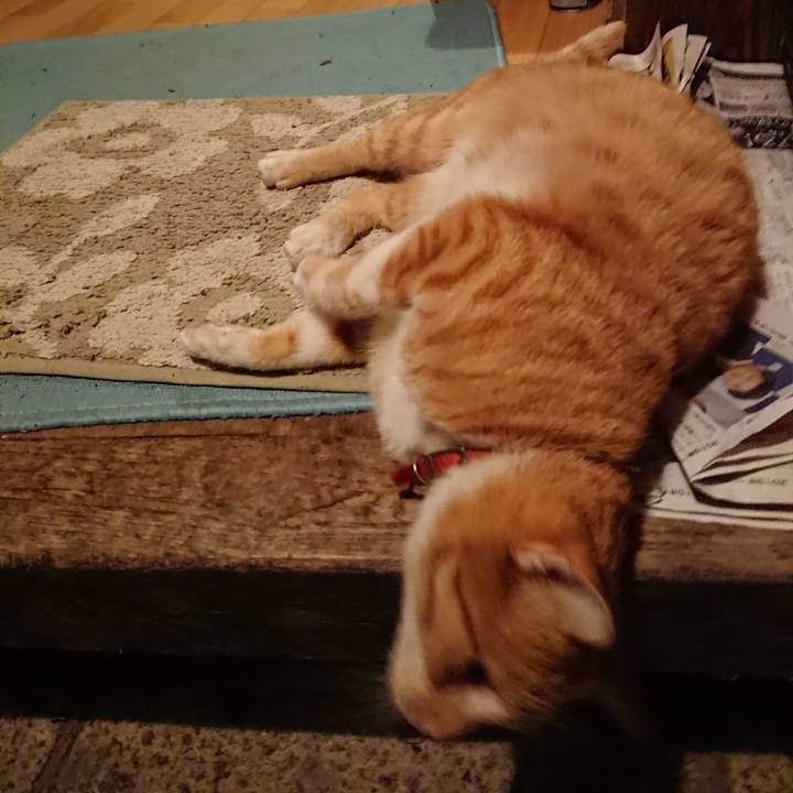 Ab0af41f 2471 4bea b35d ef2c3d6412eb 1571993612514