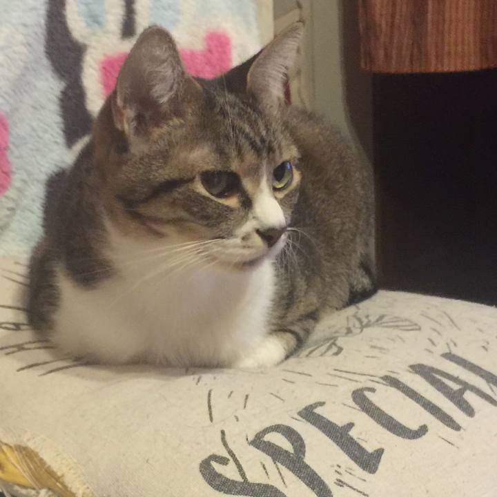 Ab0b22ae d02e 4469 a0c7 1fc10c6e39fc 1572346963696