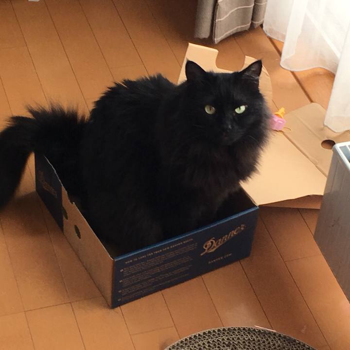 Ab0b295c f346 4b42 8fa0 8e5fed26a7d5 1550808479985