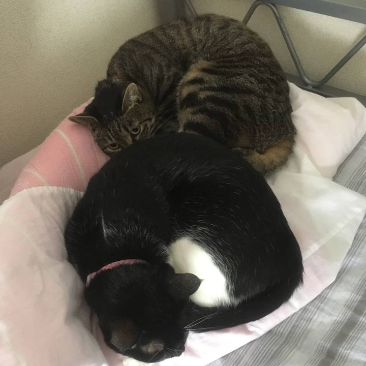 Ab0b6382 4fe1 45f4 8fa4 b88eba8dafe1 1584863512424